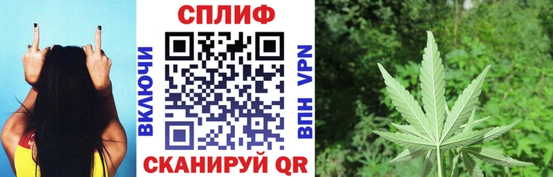 Канабис MAZAR  Выкса 
